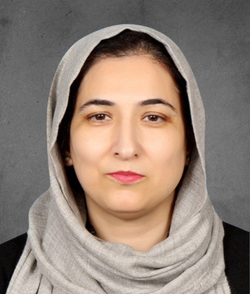 Noreen Zahid