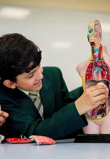 Smart Middle Years Programme​